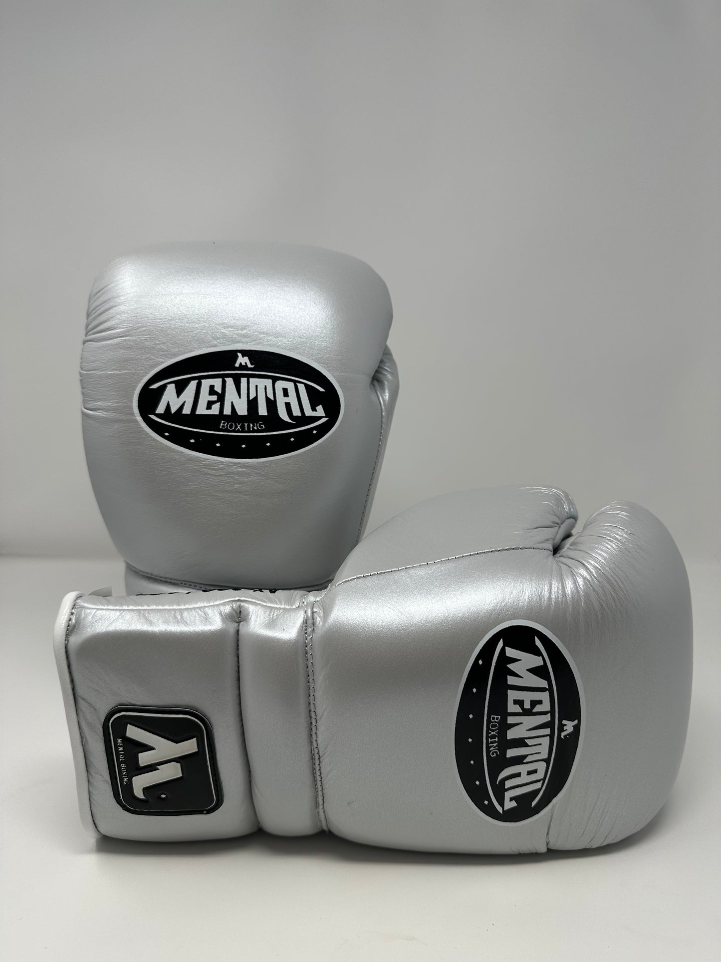 GANTS DE SPARRING - AY-300 LACE