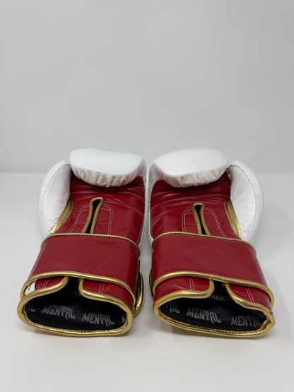 GANTS DE SPARRING - AY-300 - Bordeau/Doré/Blanc