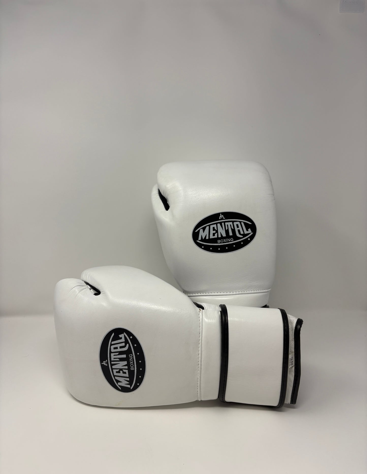 GANTS DE BOXE MEXICAIN