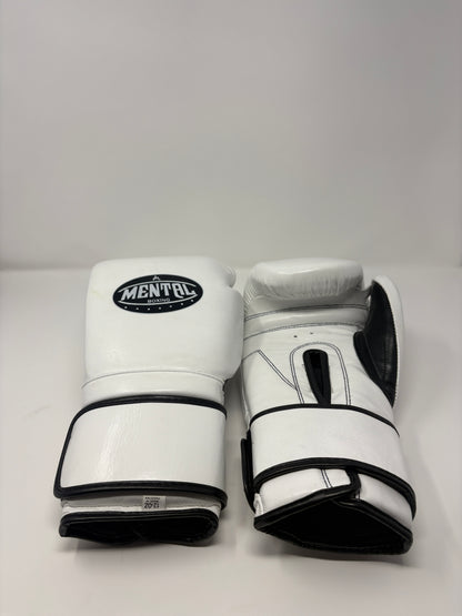 GANTS DE BOXE MEXICAIN
