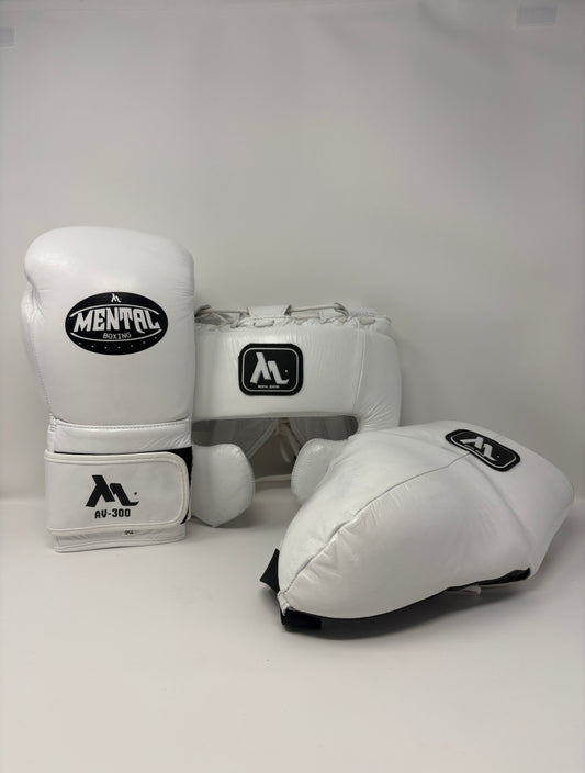 KIT SPARRING - AY-300/CASQUE POMETTES/COQUILLE