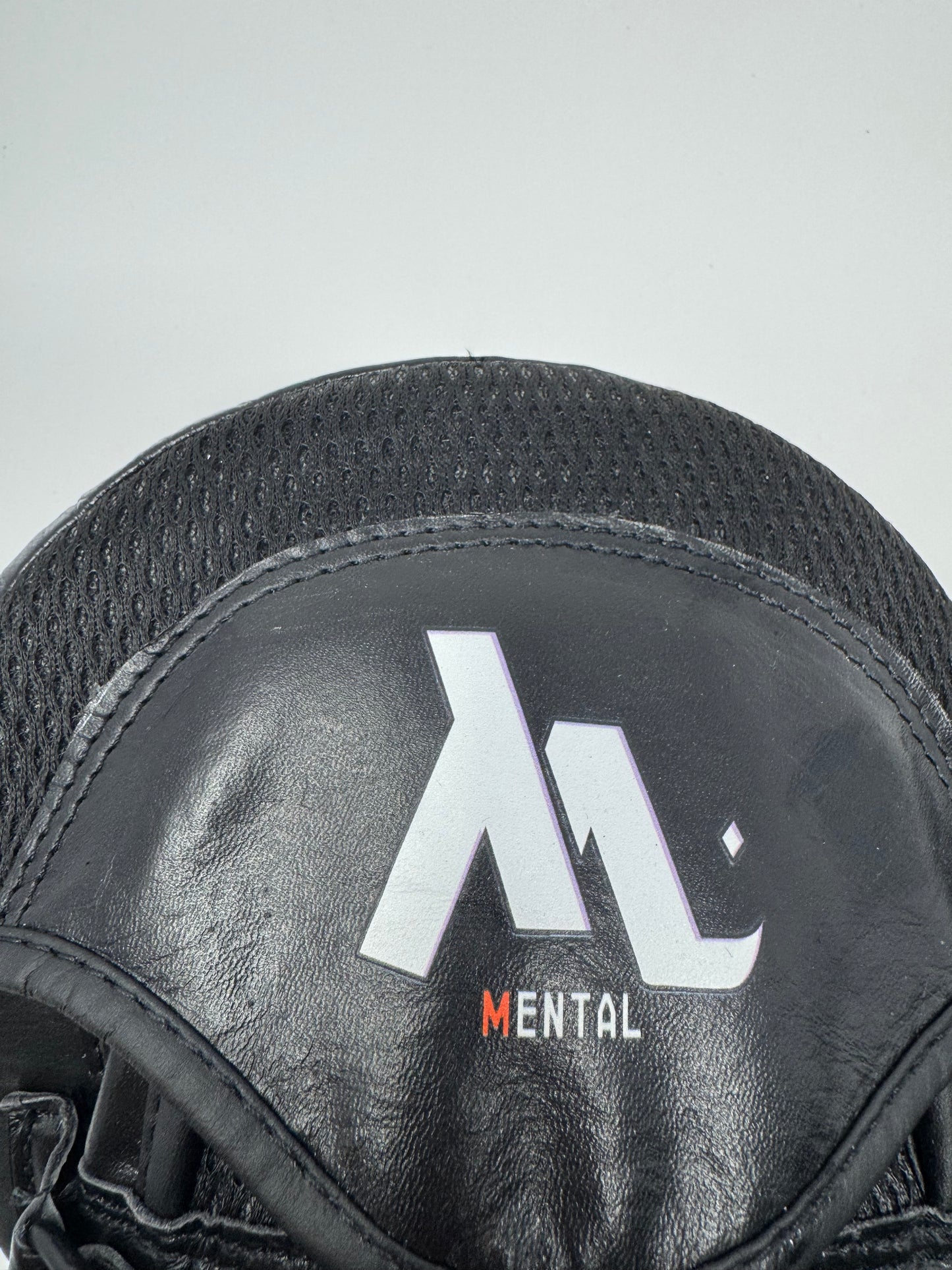 PATTES D'OURS DE BOXE